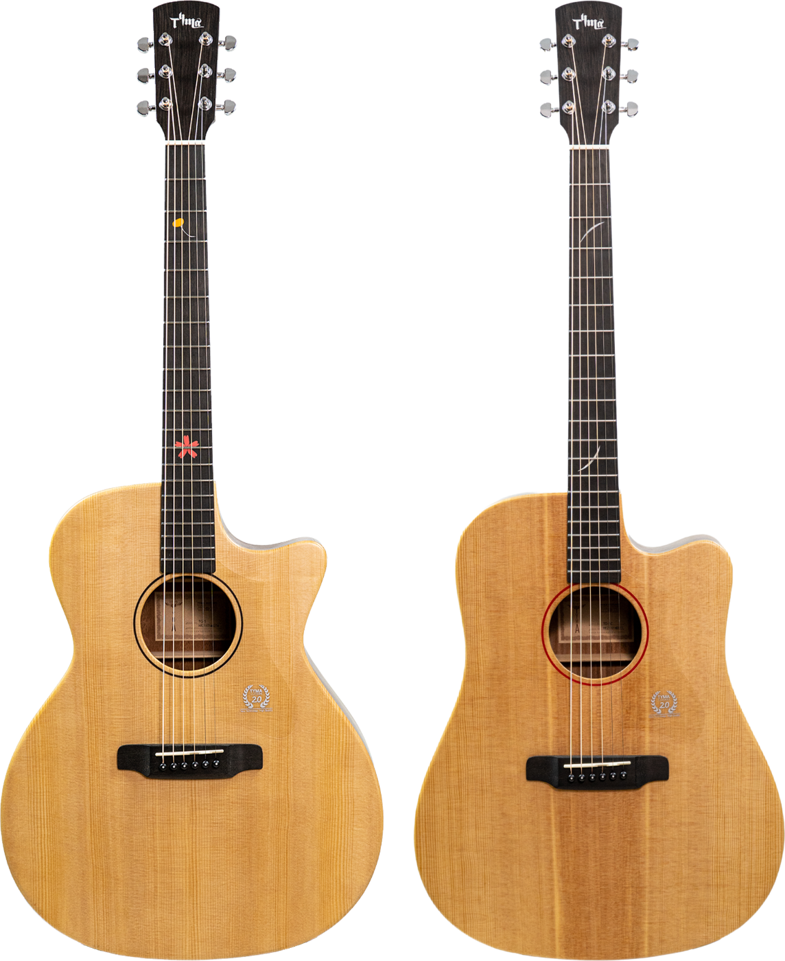 Tyma TD-5C,TG-5 Top Solid Acoustic Guitar