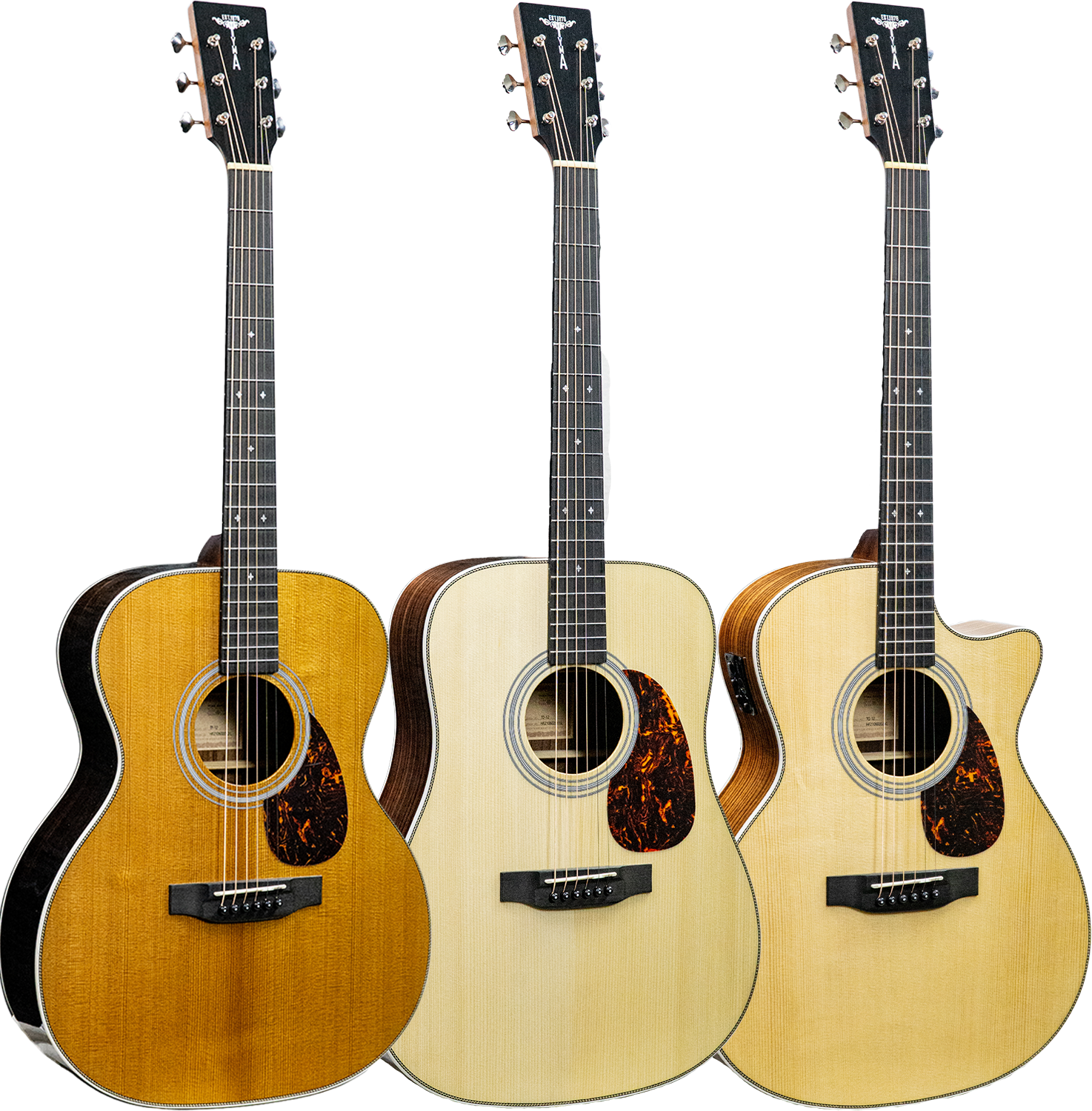 Tyma TF-12, TD-12, TG-12E Top Solid, Back Side Indian Rosewood