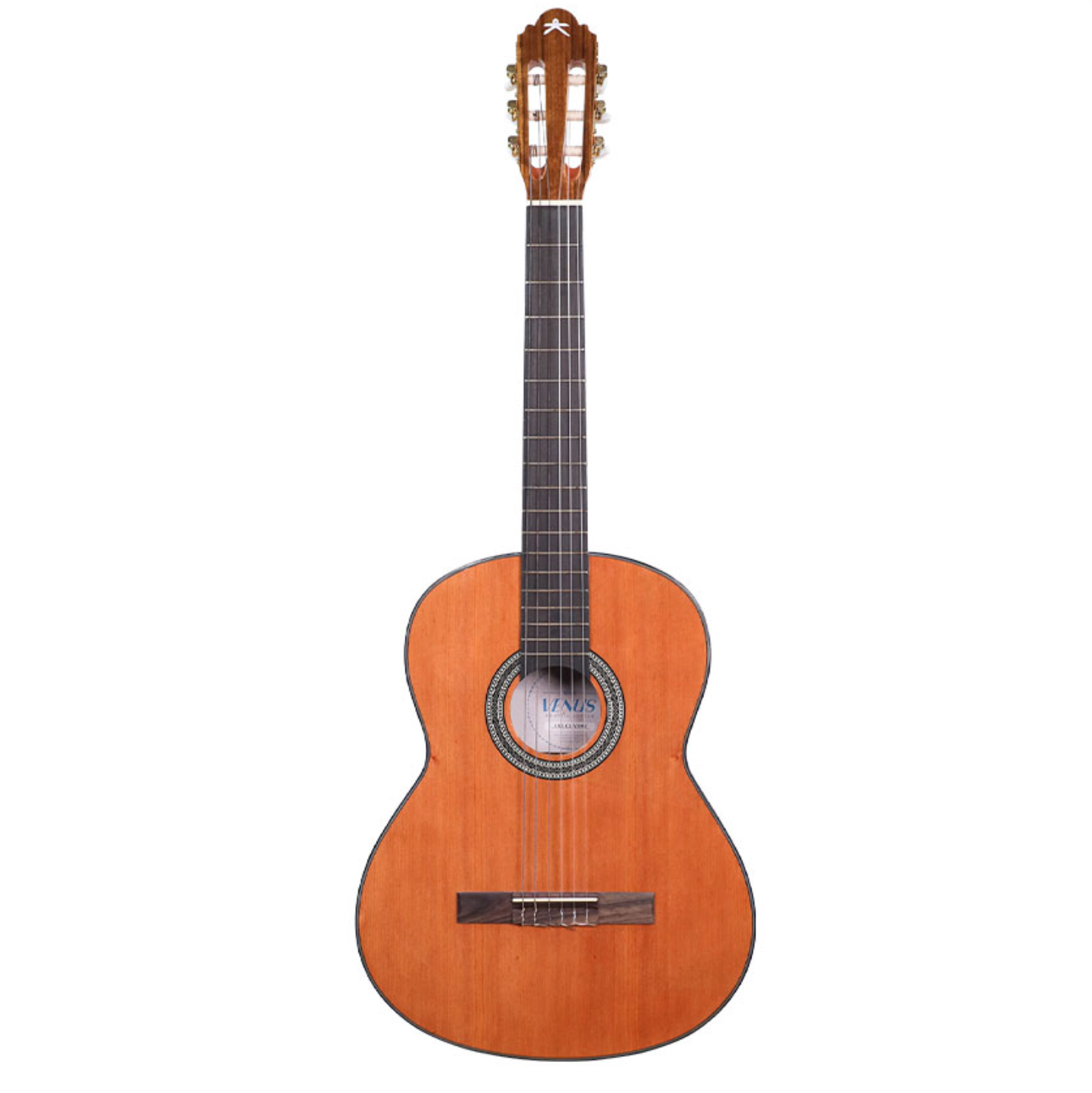 Kazuki Venus Walnut