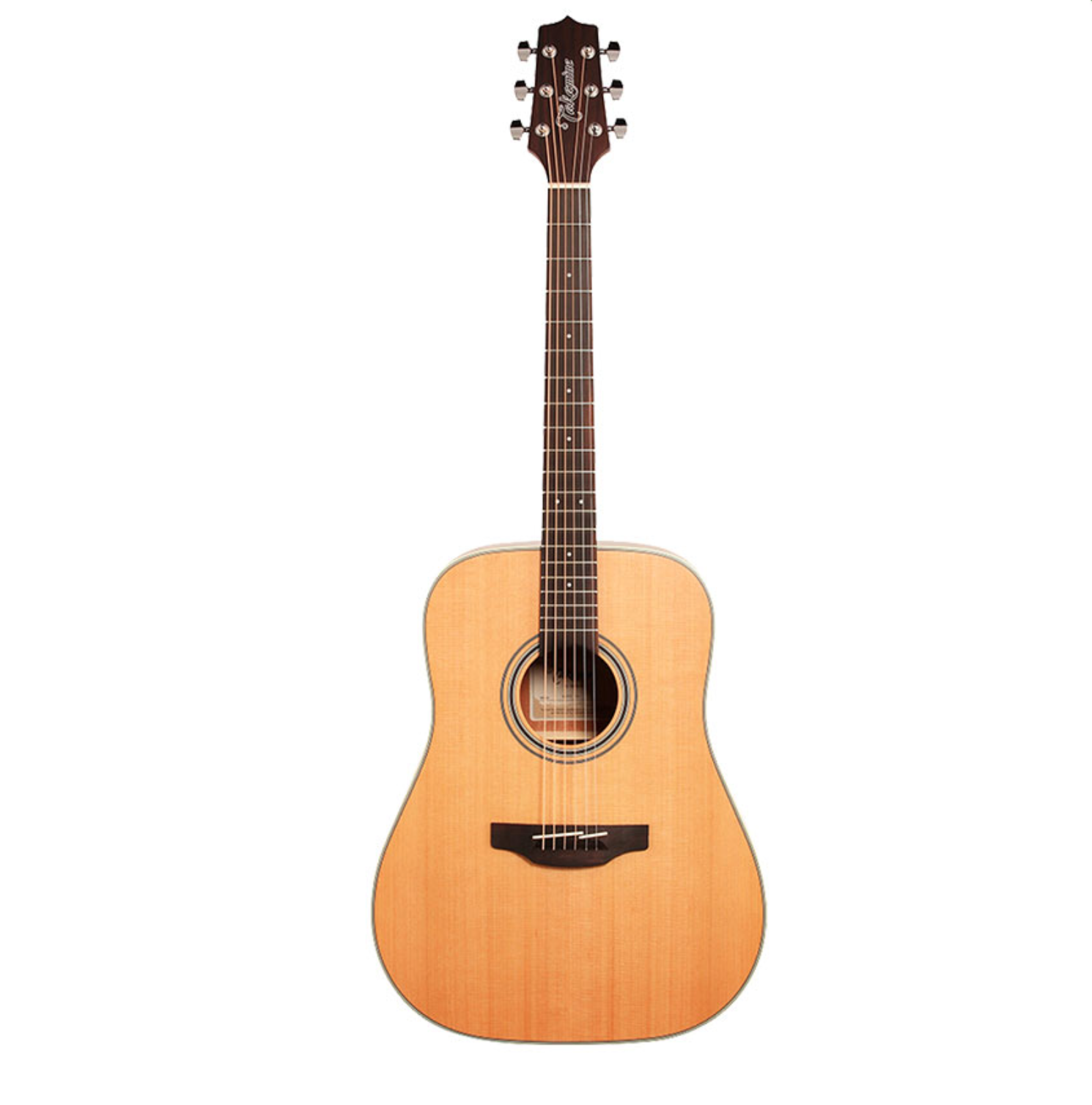 Takamine GD20