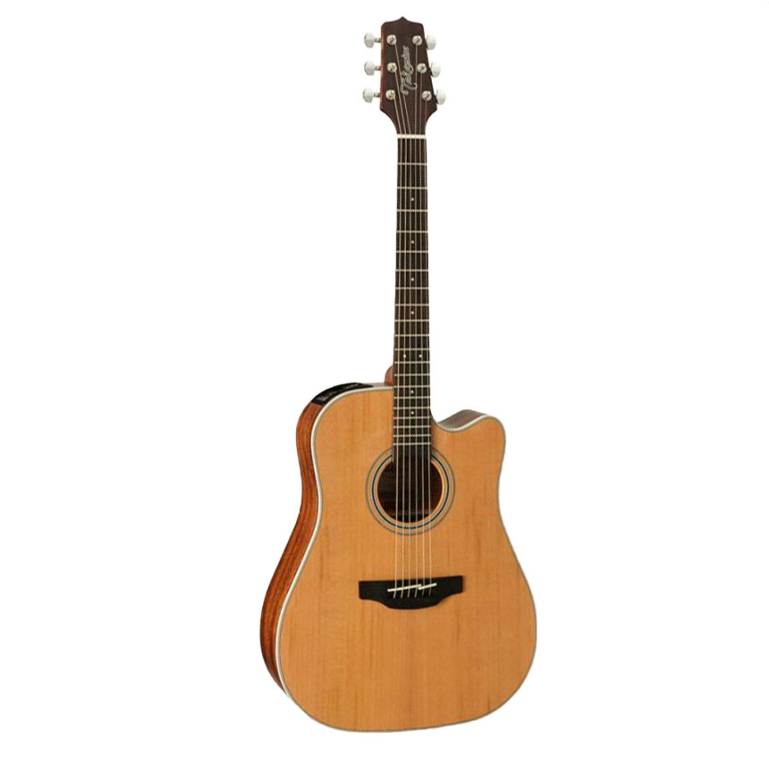 Takamine GD20CE