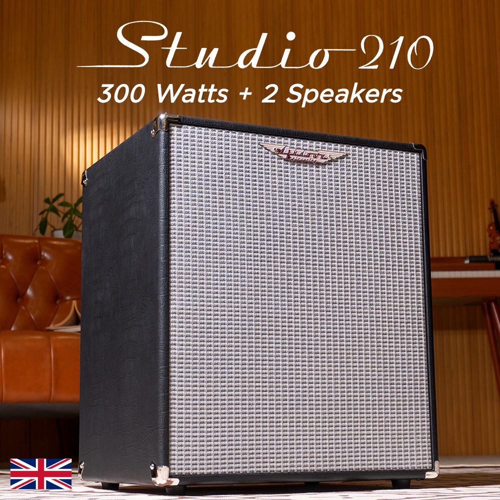 Ashdown Engineering Studio 210 แอมป์เบส